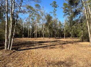 Tbd E Us Highway 90, Lee, FL 32059