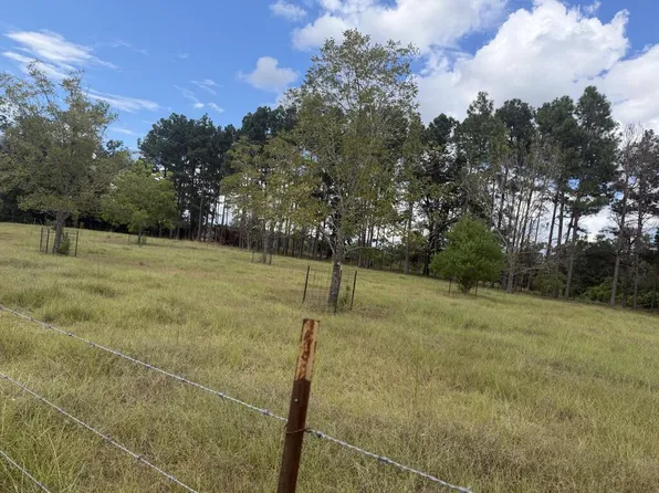 0 Griggs Lucille Rd, Colquitt, GA 39837