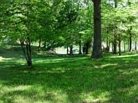 1st image of 558 Hillwood Dr