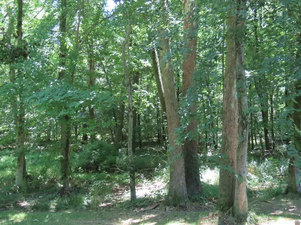 250 Stahr Rd, Fancy Farm, KY 42039