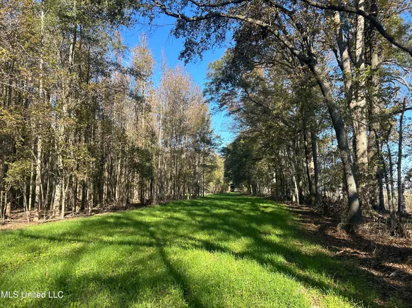 Goose Lake Rd, Rolling Fork, MS 39159