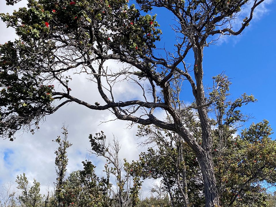 2nd image of 92-2208 Sea Breeze Pkwy Lot 1