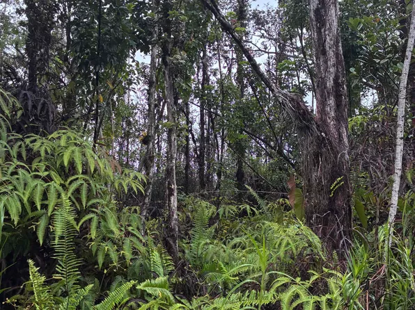 Road 5 Lot 3973, Kurtistown, HI 96760