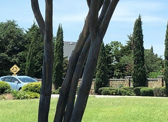 2nd image of 909 Independence Pkwy