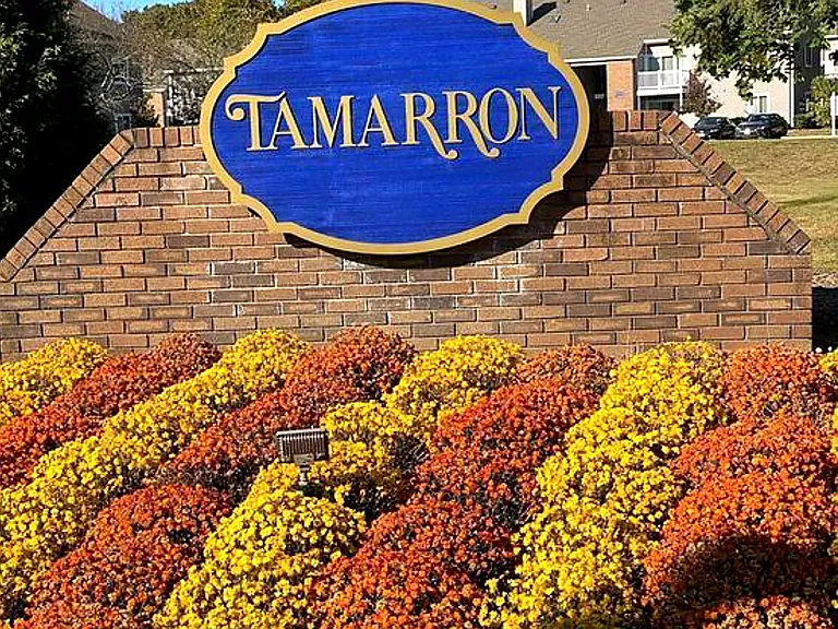 8408 Tamarron Dr — Photo 23