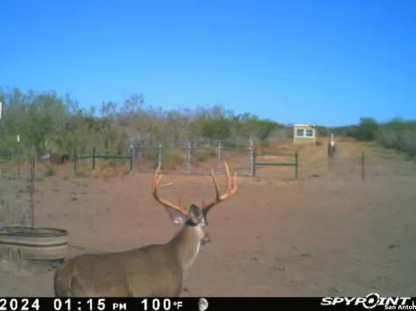 TR 123 Triple T-Bar-L Rch, Freer, TX 78341