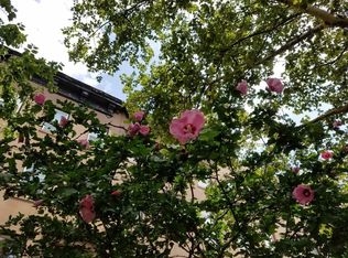 360 Clinton St APT 2, Brooklyn, NY 11231