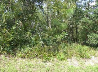 2521 E Newhaven St, Inverness, FL 34453