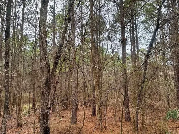 1176 Great Falls Hwy #4, Chester, SC 29706