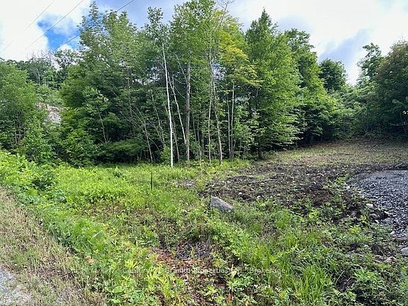 2nd image of 4 McNaughts Rd