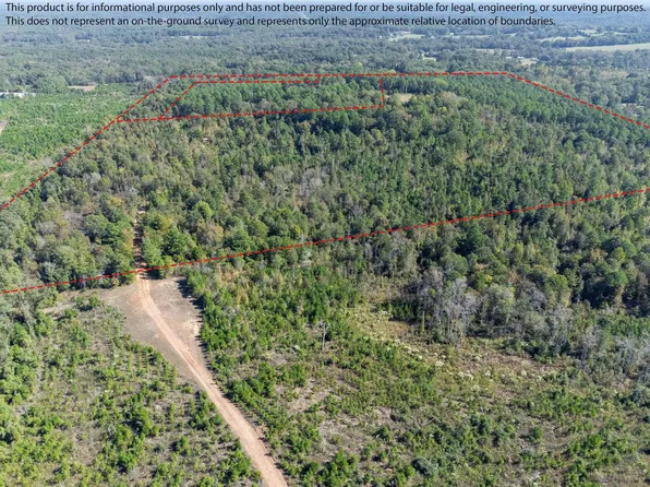 Coppedge Smith Rd, Harleton, TX 75651