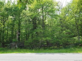 382 Pine Grove Rd, Bethel, NY 12720