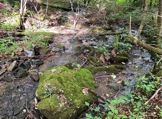 Double Head Mountain Rd, Newland, NC 28657