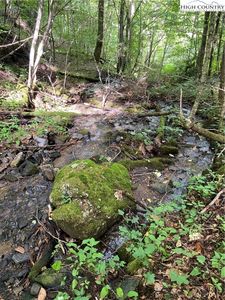 TBD Double Head Mountain Road, Newland, NC, 28657
