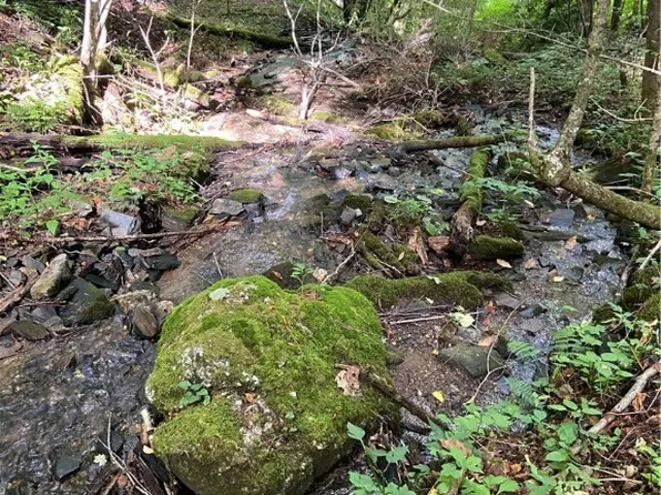 TBD Double Head Mountain Road, Newland, NC 28657