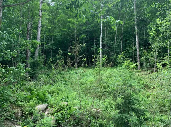 TBD Beverly Hills Drive #19, Wakefield, NH 03830