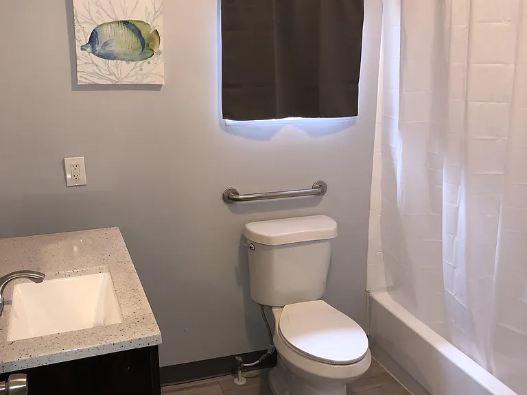 1 of 2 downstairs hall bathrooms