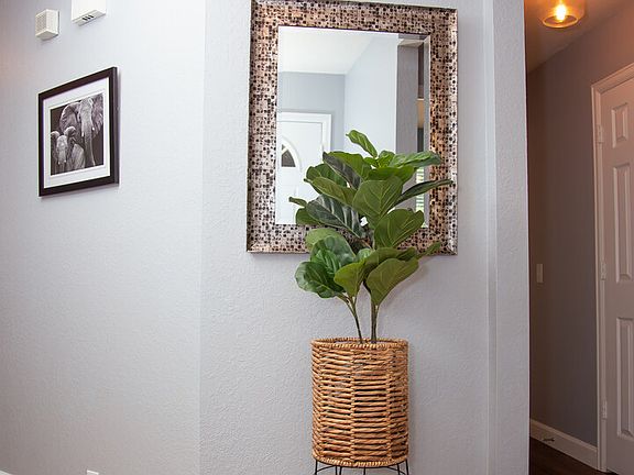 4th image of 3711 SAUSALITO FERN
