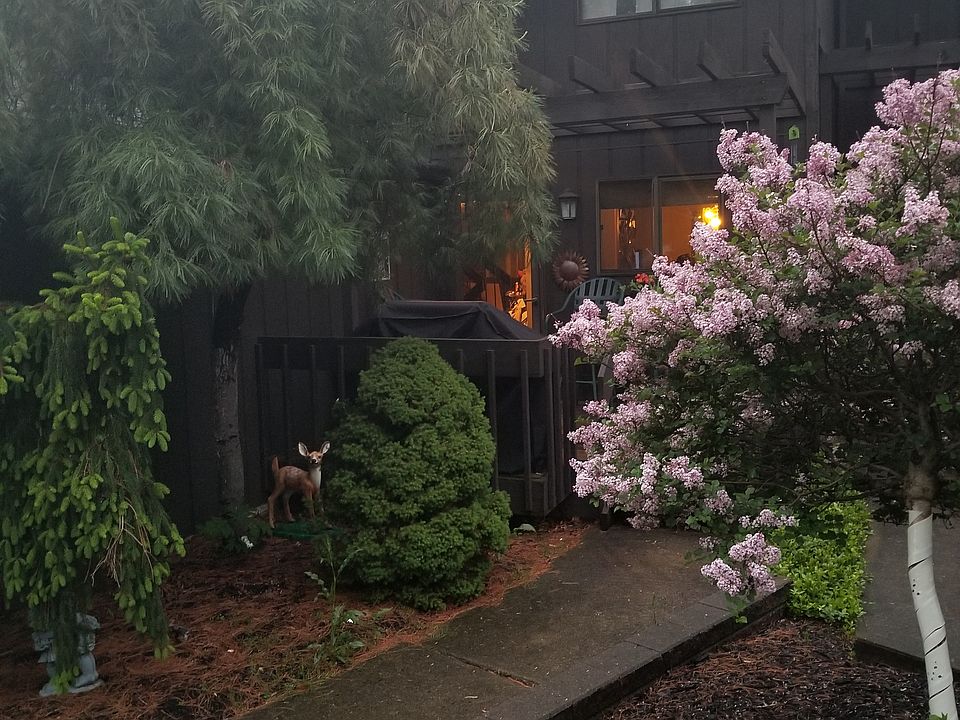1st image of 9368 Sherman Ln #312
