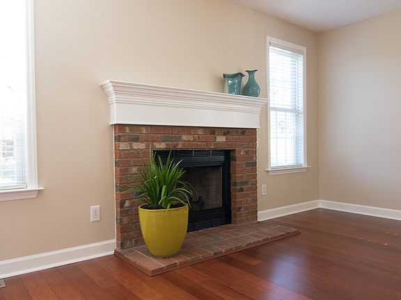 Wood burning Fireplace