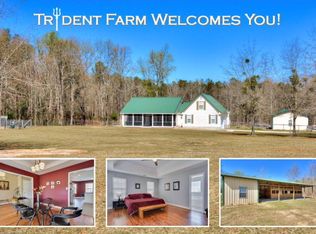 19 Aviary Ln, Johnston, SC 29832