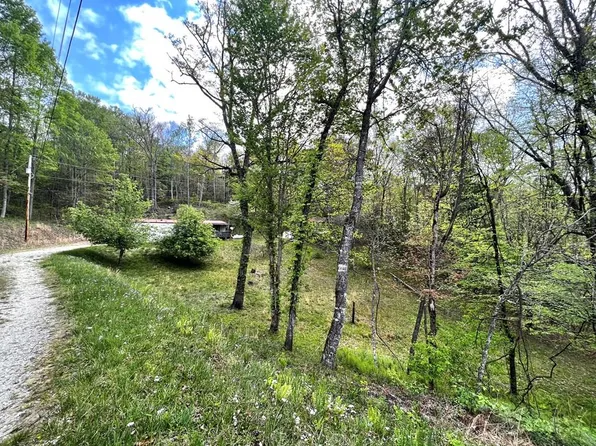 254 Joyces Mtn, Topton, NC 28781