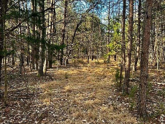 5th image of Elmore Rd