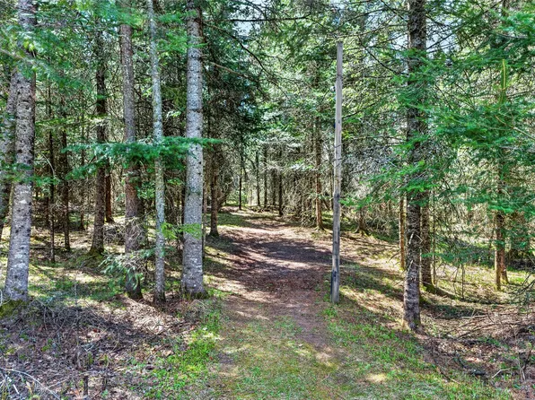 8225 N Blaisdell Lake Road, Winter, WI 54896