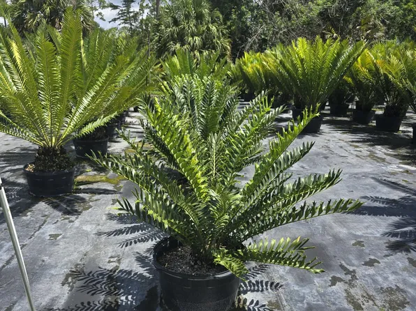 0000 B Road, Loxahatchee Groves, FL 33470