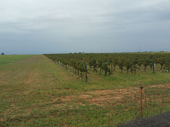 4th image of 15619 N Fm 400