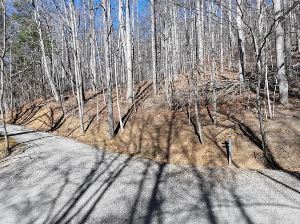 LOT 22 Top Drop Ln, Sylva, NC 28779