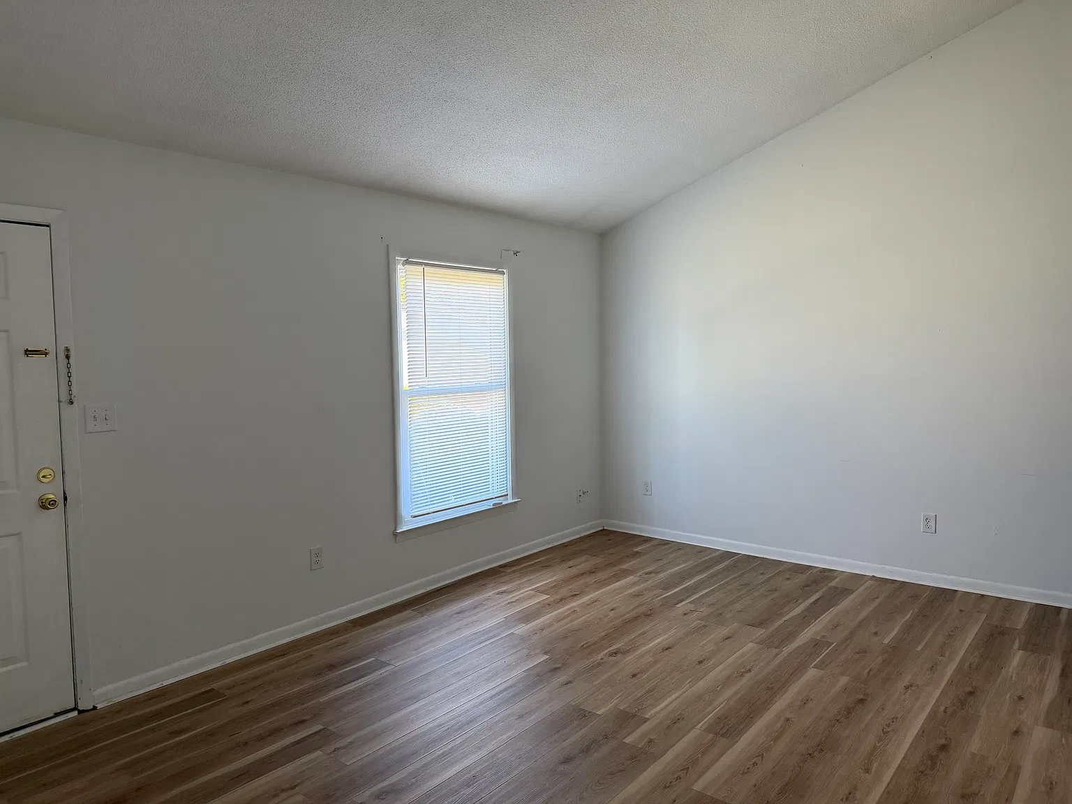 2 bed, 800 sqft, $1,250 — Photo 3