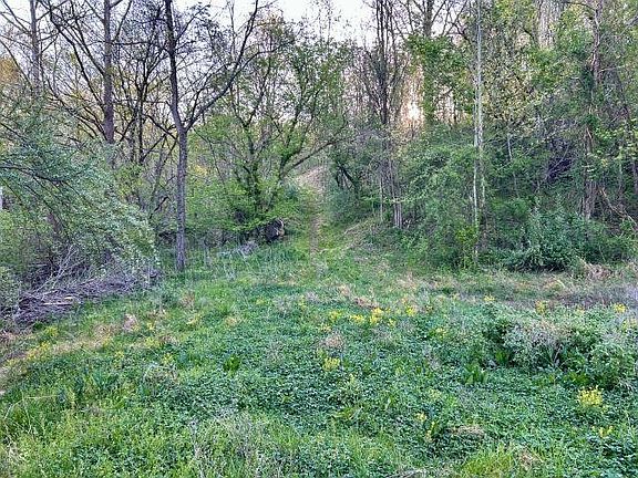 2nd image of 5.383 Falls Branch Rd