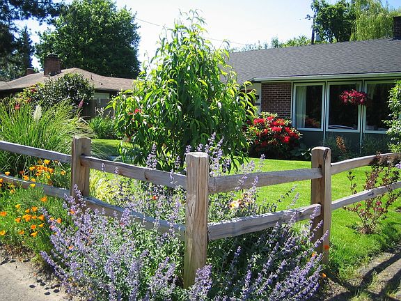 Manicured from Yard with a Ton of Flowers