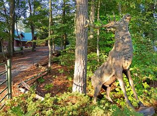 2682 Douthit Rd, Mineral Bluff, GA 30559