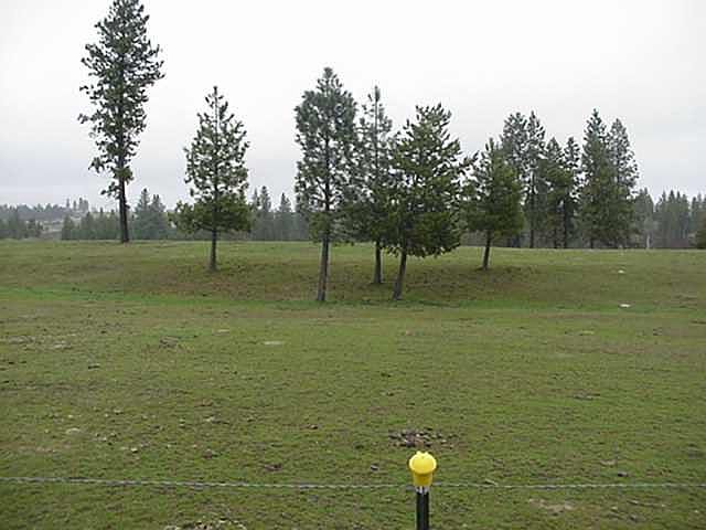 1st image of 0 W Saddlemule Ln