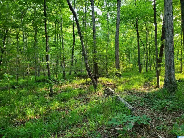 Shoal Creek Rd #0, Ashville, AL 35953