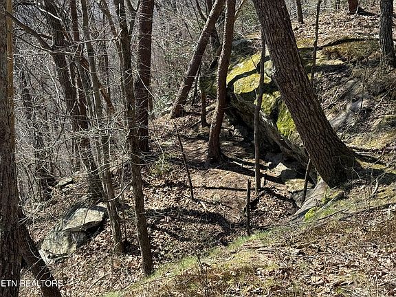 3rd image of 0 Cumberland Cove Rd #8