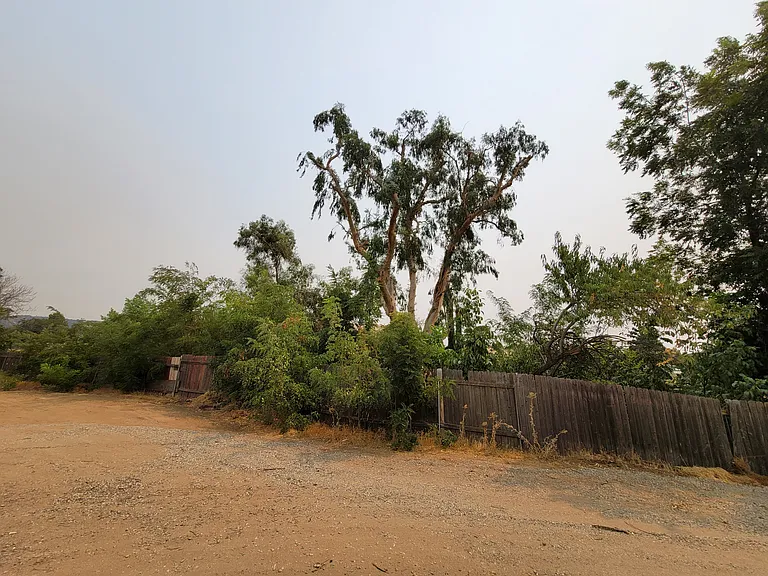 back yard fenced