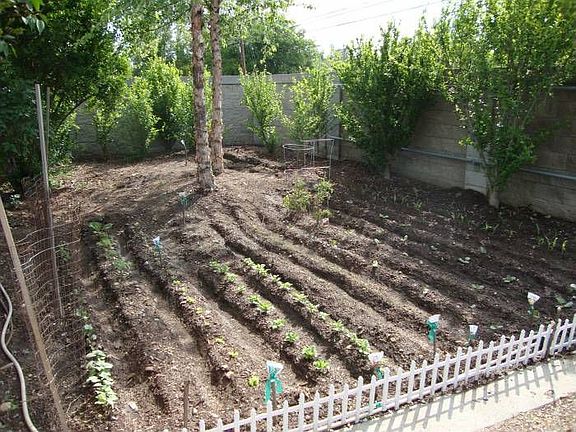 Vegetable Yard