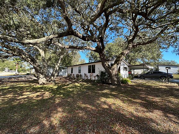 5th image of 1338 Black Olive Dr