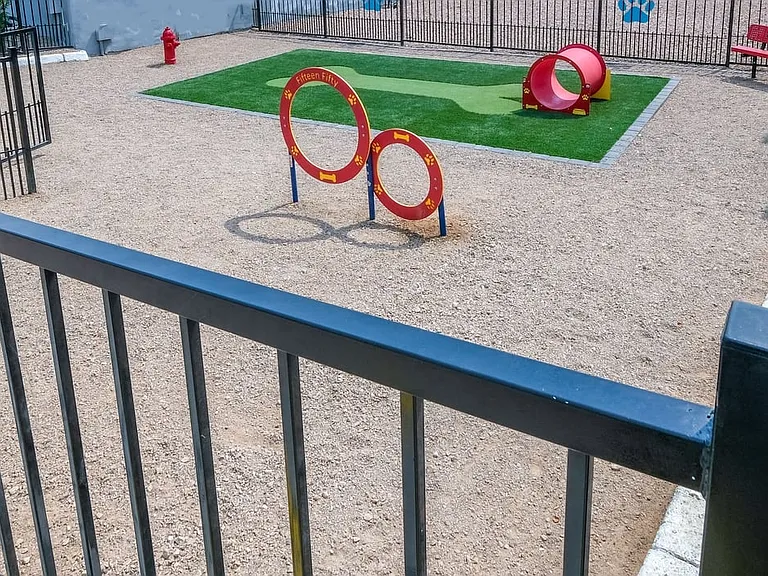 Fifteen 50 Apartments - Dog Park