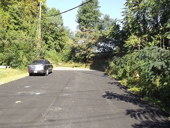 4th image of 15802 Donald Curtis Dr