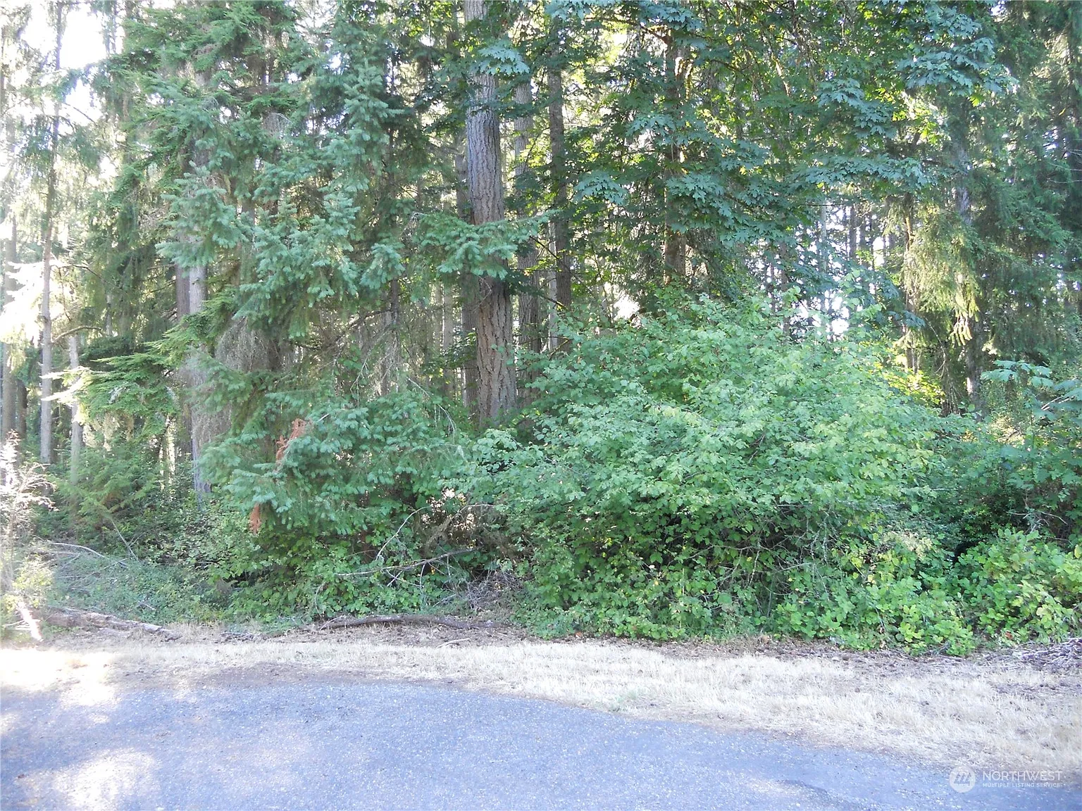 11716 114th Avenue Ct photo 1