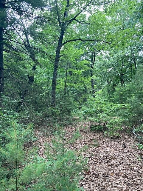 2nd image of 0 Ridgefield Ln