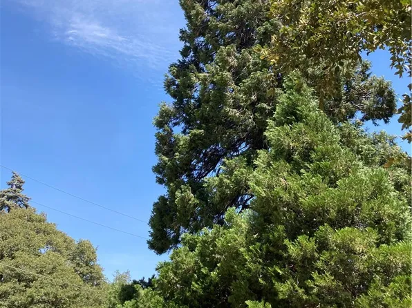 0 Bone Dr #74-75, Cedarpines Park, CA 92322