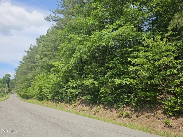Old Hurricane Rd, Wise, VA 24293