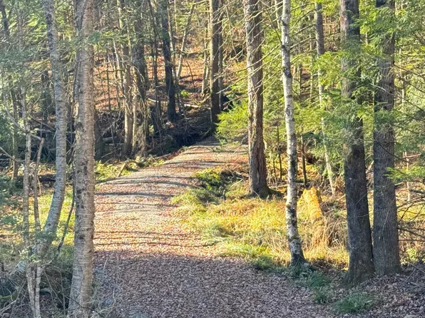 276 Red Tree Lane, Morristown, VT 05661