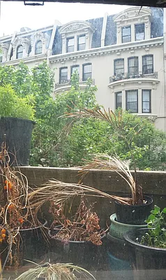 Rented by CNYC Apartments | media 36