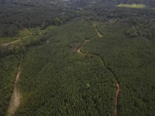 0 Airport Rd, Crosby, MS 39633